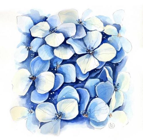 [Акварель] Видеоурок «Голубая гортензия» (Любовь Дрюма)