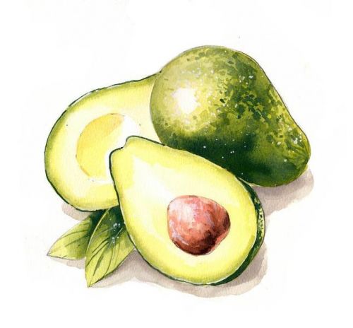 [Акварель] Видеоурок «Авокадо» (Любовь Дрюма)