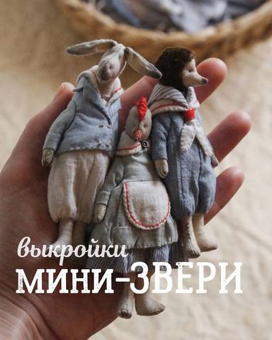 Школа маленьких зверей. Фазенда (Наталья Суранова)