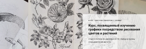 Рисуем линером с Renne. 2 поток [Renne Studio]