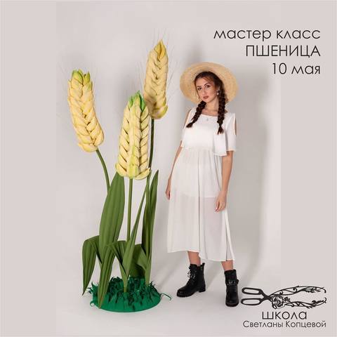 Пшеница (Светлана Копцева)