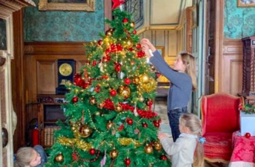 Новогодний стол (Наташа Люккези)