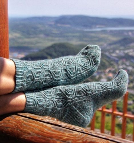 Носки 'berry_socks_' (kvassvet)