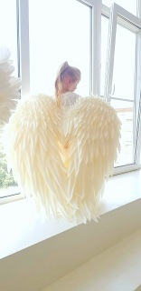 Мастер-класс «Крылья 1» (Елена Жукевич)