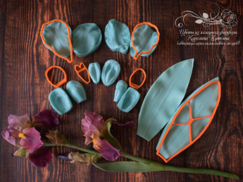 Ирис бородатый из холодного фарфора (Татьяна Карелина)