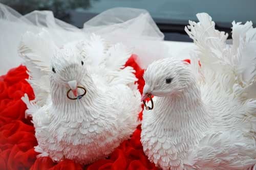 Голуби (Татьяна Шмелева)