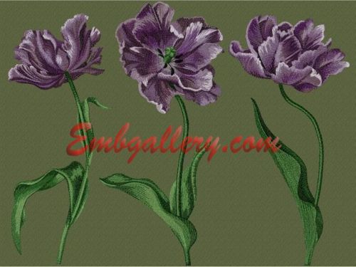 Дизайн машинной вышивки 'Тюльпаны' [embgallery]