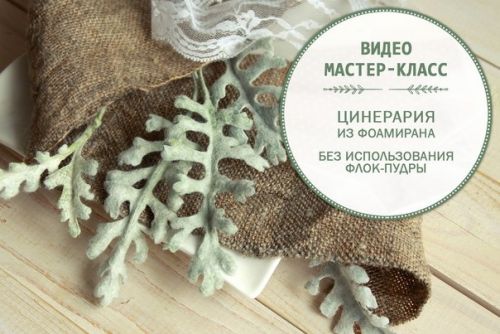 Цинерария из фоамирана без использования флока (Катерина Печенкина)