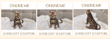 Бенгальскии? коте?нок в смешаннои? технике (Вера Перминова,Любовь Смирнова)