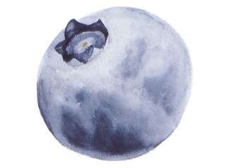 Акварельные ягоды (Анна Березкина)