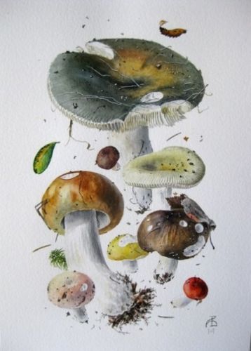 Акварельная ботаническая живопись (Александр Вязьменский)