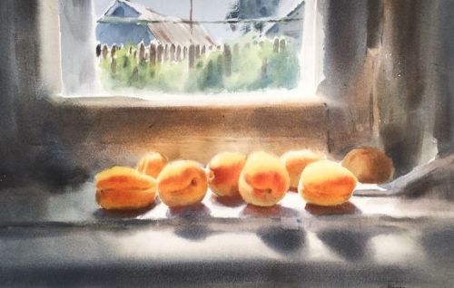 Акварельный натюрморт с абрикосами (Анна Иванова)