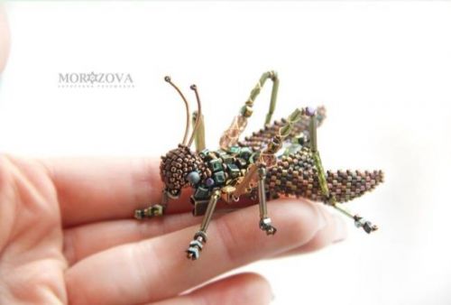 Кузнечик (Александра Морозова)