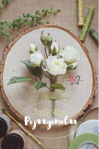 Мастер-класс по фоамирану Роза кустовая (Наталья Асатурова)