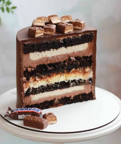 Видео-урок по торту Сникерс (koleda_cake)