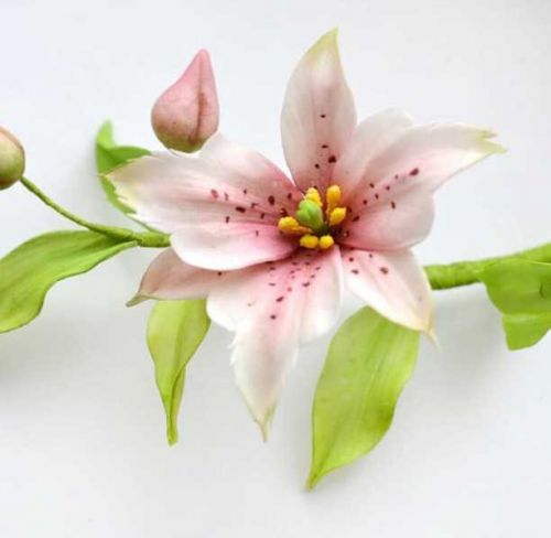 [Где торт?] Цветок Номохарис из сахарной мастики (Евгения Бочарова)