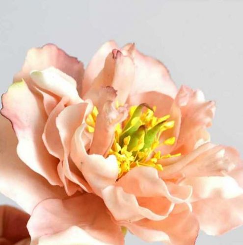 [Где торт?] Пион целый из сахарной мастики (Евгения Бочарова)