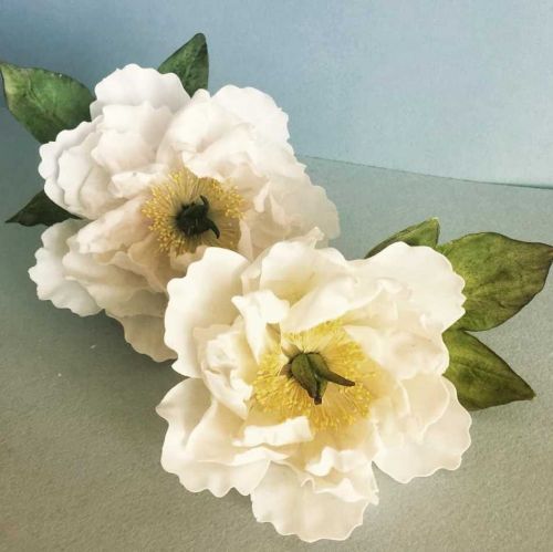 [Где торт?] Сахарный Белый Пион (Евгения Бочарова)