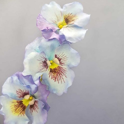 [Где торт?] Сахарный цветок Анютины глазки (Евгения Бочарова)