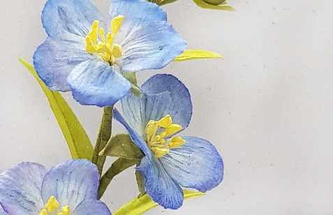 [Где торт?] Сахарный цветок льна (Евгения Бочарова)