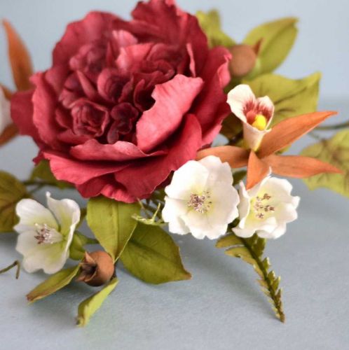 [Где торт?] Сахарный Медлар (Евгения Бочарова)