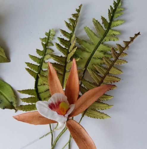 [Где торт?] Сахарный папоротник (Евгения Бочарова)