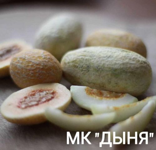 Дыня из полимерной глины (clay.mini.life)