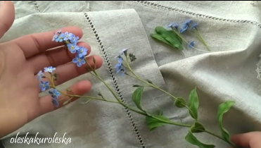 Незабудка (Олеся Богданович)