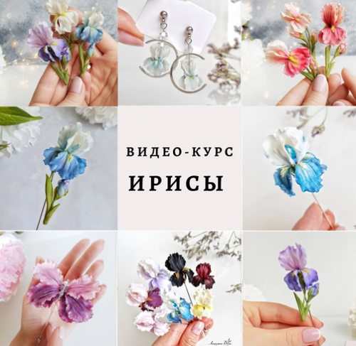 [Лепка] Видео-курс 'Ирисы' (Ольга Гусева)