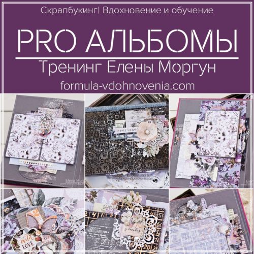 Скрап-тренинг 'PROАльбомы' (Елена Моргун)