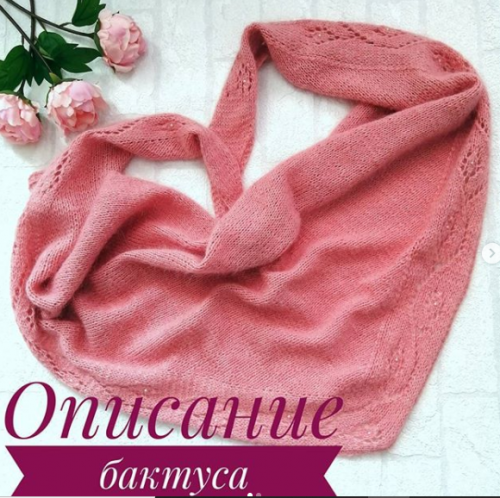 Бактус 'Нежный цветок' (tayana_knitting)