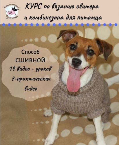 Вязание свитера и комбинезона для питомца (Моськин гардероб)