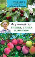 Фруктовый сад. Вишня, слива и яблоня (Галина Кизима)