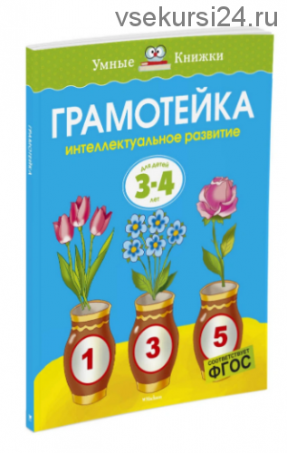 Грамотейка. Интеллектуальное развитие детей 3-4 лет (Ольга Земцова)