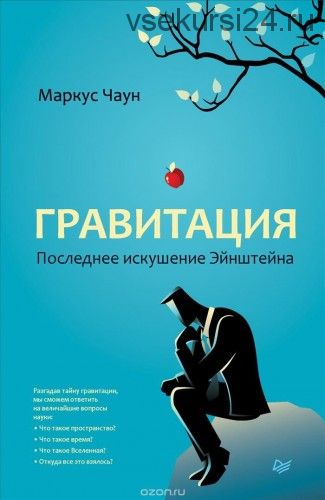 Гравитация. Последнее искушение Эйнштейна (Маркус Чаун)