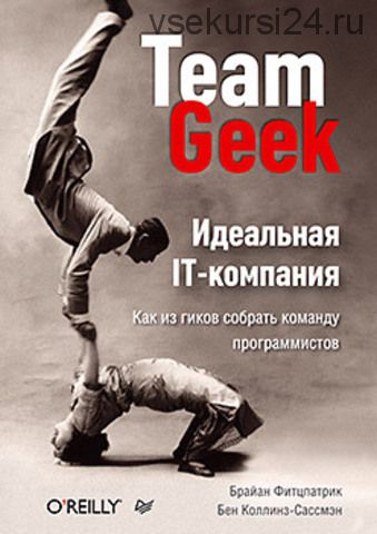 Идеальная IT-компания. Как из гиков собрать команду программистов (Брайан Фитцпатрик)