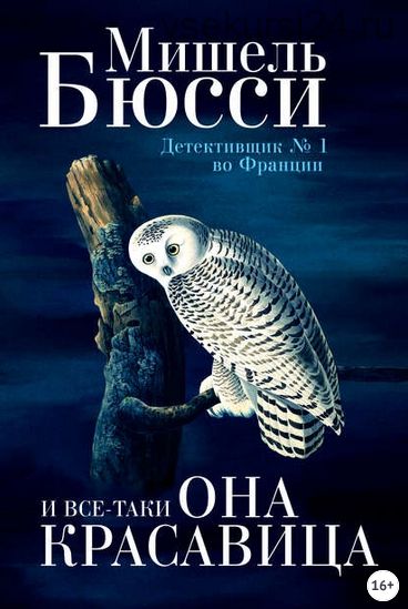 И все-таки она красавица (Мишель Бюсси)