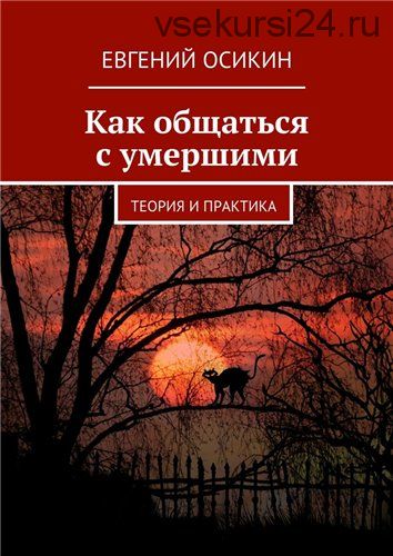 Как общаться с умершими. Теория и практика (Евгений Осикин)