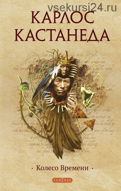 Колесо времени. Книга 11 (Карлос Кастанеда)