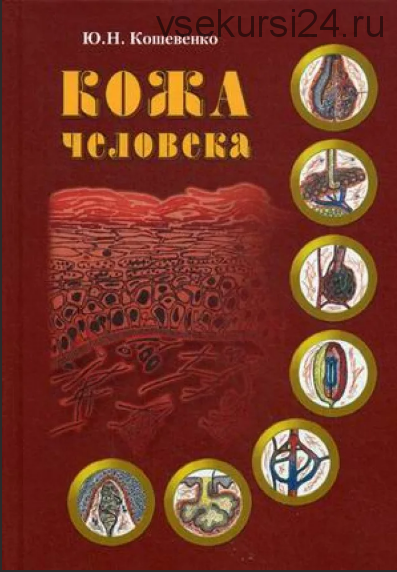 Кожа человека. Структура, физиология и предназначение функциональных элементов (Ю.Н. Кошевенко)