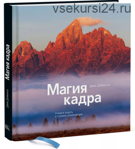 Магия кадра. Учимся видеть и строить композицию (Джек Дайкинга)