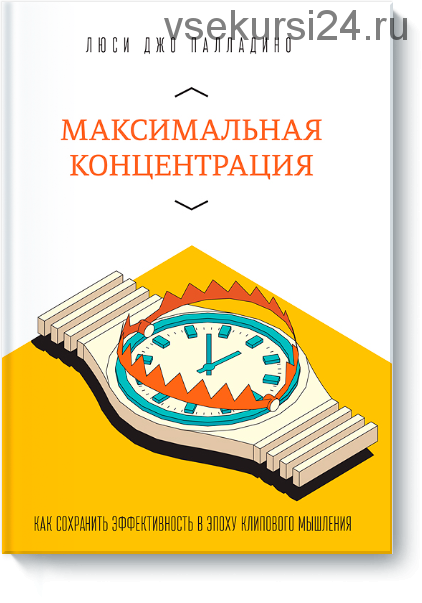 Максимальная концентрация. Как сохранить эффективность в эпоху клипового мышления (Люси Палладино)