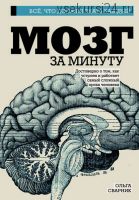 Мозг за минуту (Ольга Сварник)