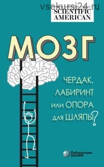 Мозг: чердак, лабиринт или опора для шляпы (Хелен Барбас)