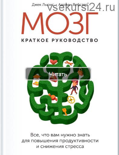 Мозг: краткое руководство ( Джек Льюис, Адриан Вебстер)