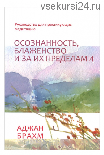 Осознанность, блаженство и за их пределами. Руководство для практикующих медитацию (Брахм Аджан)