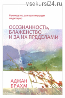 Осознанность, блаженство и за их пределами. Руководство для практикующих медитацию (Брахм Аджан)