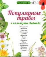 Популярные травы и их полезные свойства (Татьяна Елисеева)