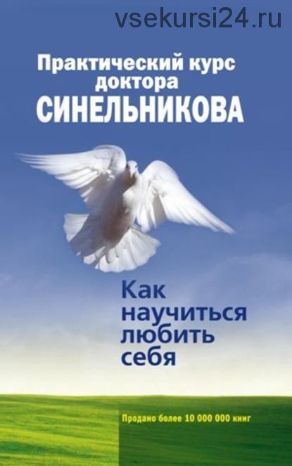 Практический курс доктора Синельникова. Как научиться любить себя (Валерий Синельников)