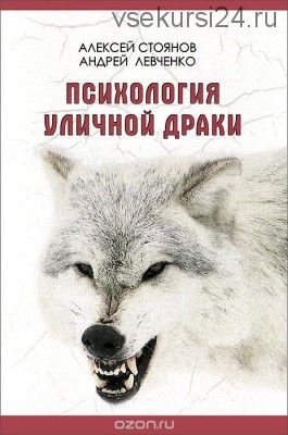 Психология уличной драки (Алексей Стоянов, Андрей Левченко)